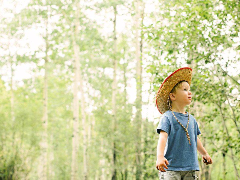 CA9954F6EFF1B158BB0508BCD8F75B15