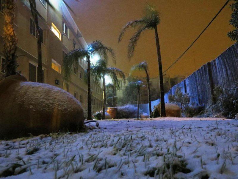 923CBD6FA22FEBCC630FB702E3D07453