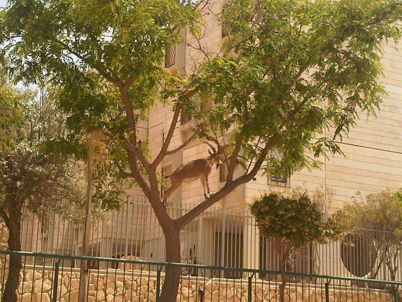 983701394BAEC6B4A6FE408659CA974F