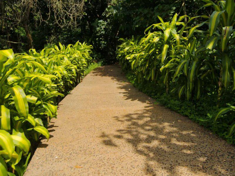 52F31239DCB115F65202B92FA51D060C