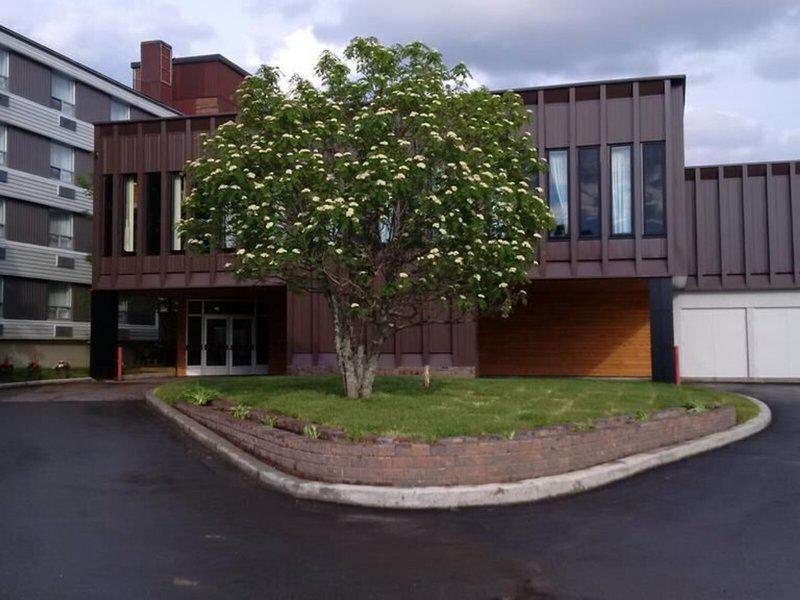 8B6FFFF7209902C772C635329A88D3D4