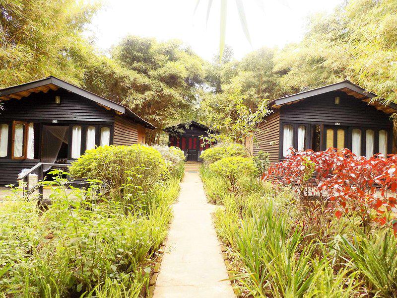 B14CA23D8C2AF936B33D3BBB016E694F