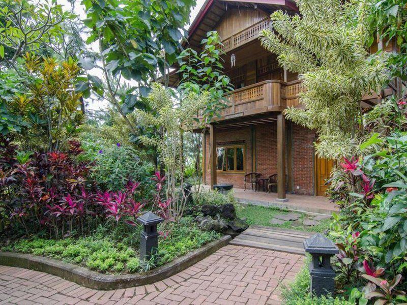 138F23537BDE7399EA0669A79D41A5DC