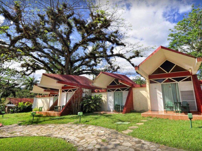 BBC9F726E3C4539AD867455F0E054336