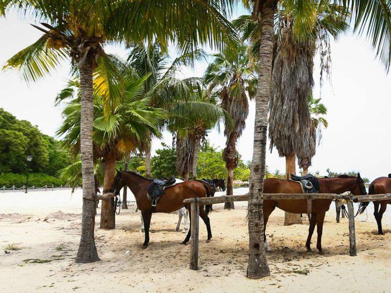 1DF0A42CB13F44B739960AE0880E3A7B