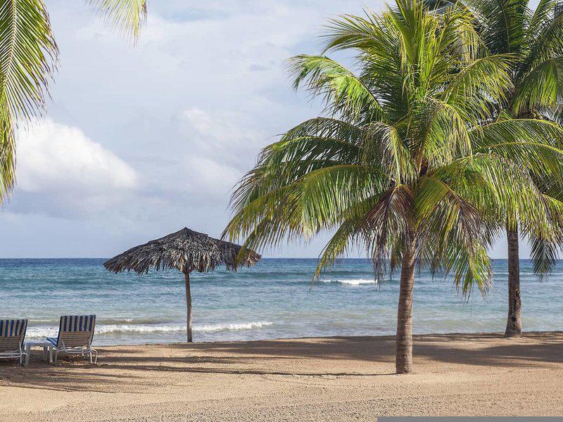 872933E0A2CA9905A2B721A14D8762B0