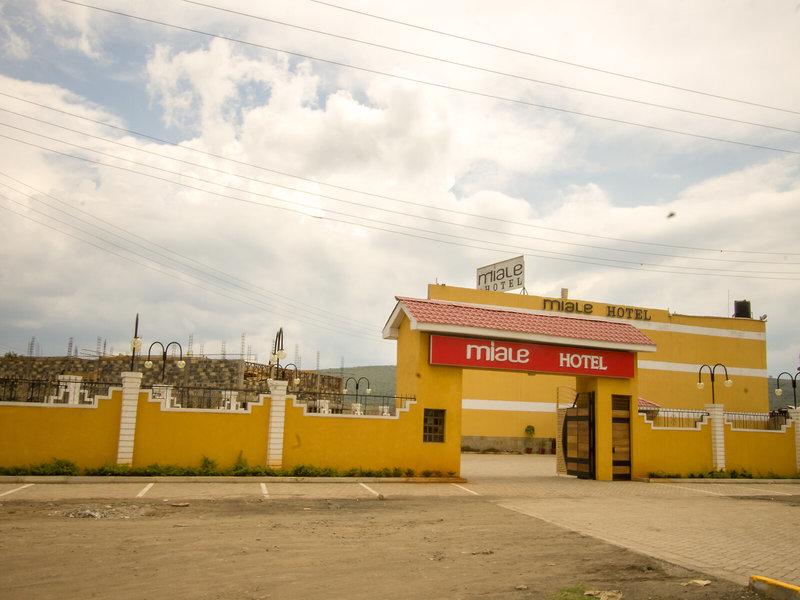 33BBEF6BD049D4A9079E5645861664B6