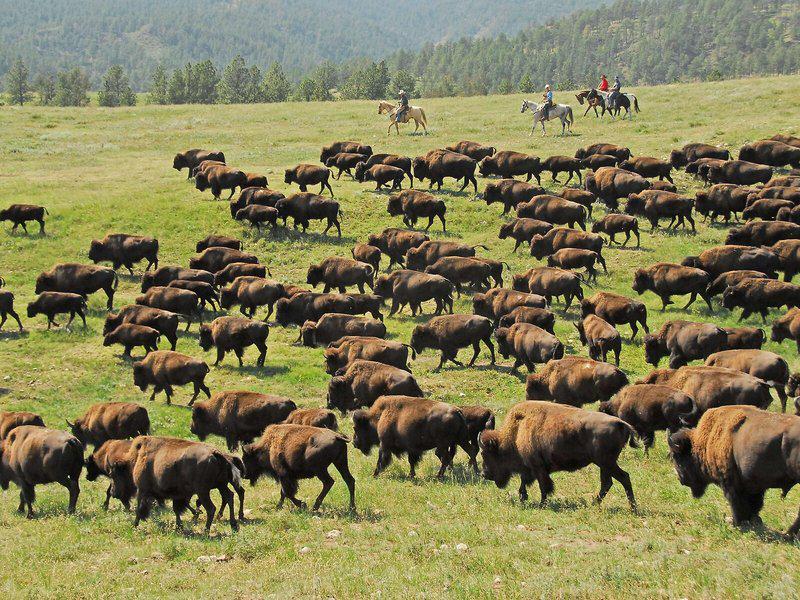 384D5F9132E6158CFDBD3585C0772AEF