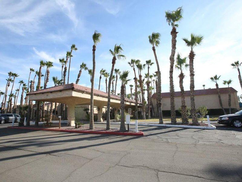 A061A0FDAD7304CC82DB4915CA972644