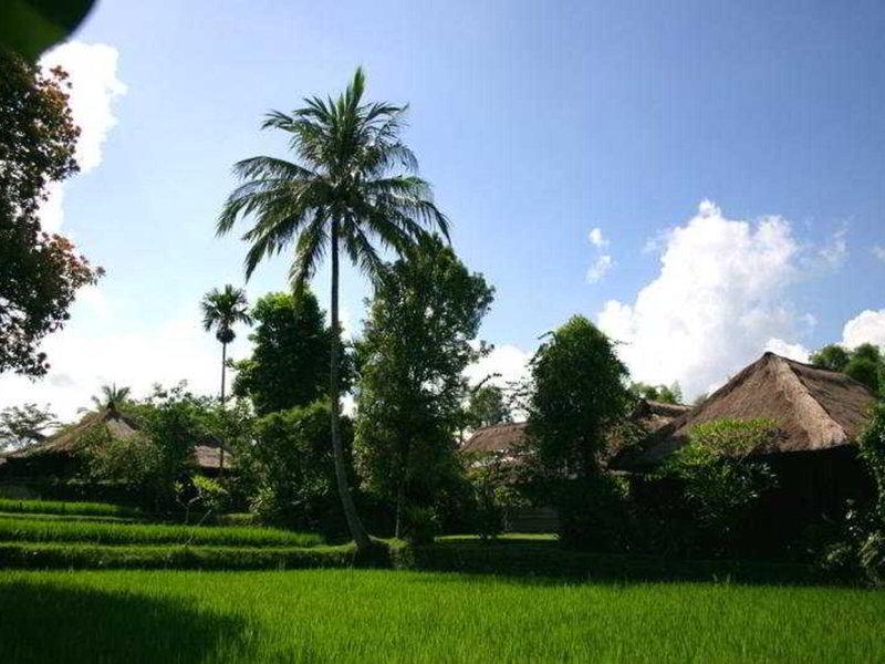 78CD7C3477DC0AE73103CBDE11730A97