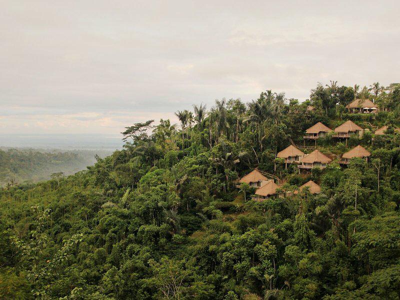 85C3C60A0853E901FCAEC065CB494DC1