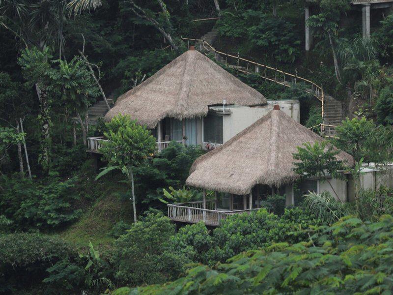 737D277CF554BCB31055C3FE7F2BD338