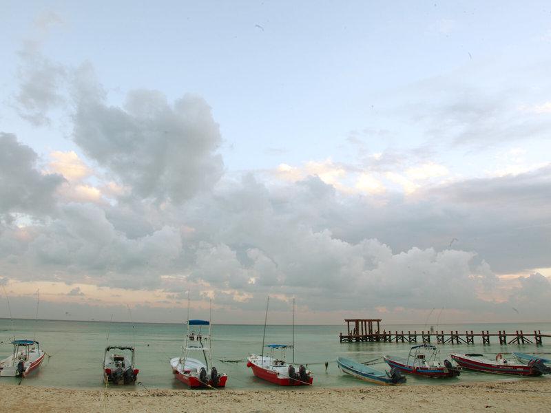 5AF5DCFDFDC234E8658CF0A872BD7DBC