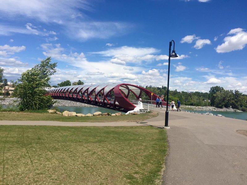 A931971C1C82B5A117A5E63737A0D25C