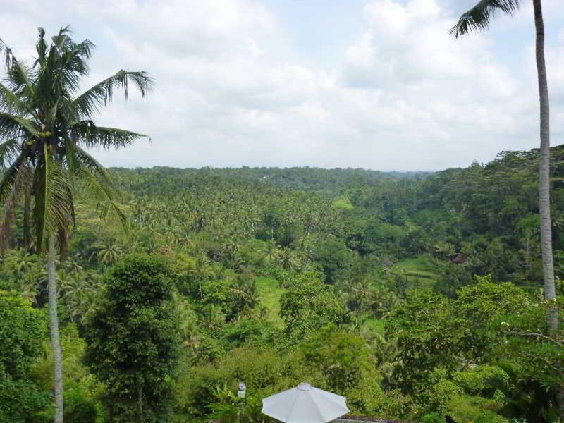 426FE0A91ED03746225CEC3671F326FA