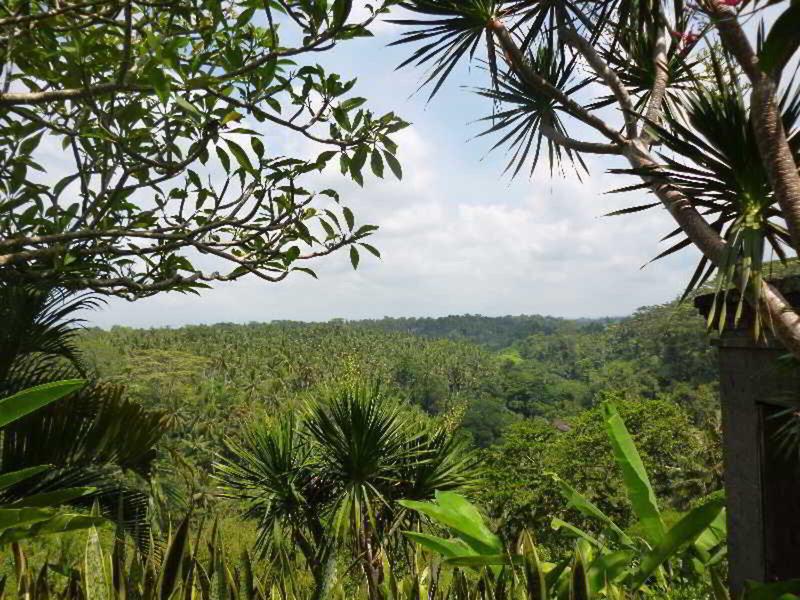 97C7B193D35371AE5296213EC3F259EA