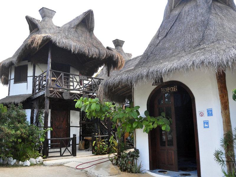 E828D9D00B47DC2C4D3CAA578E698BE4