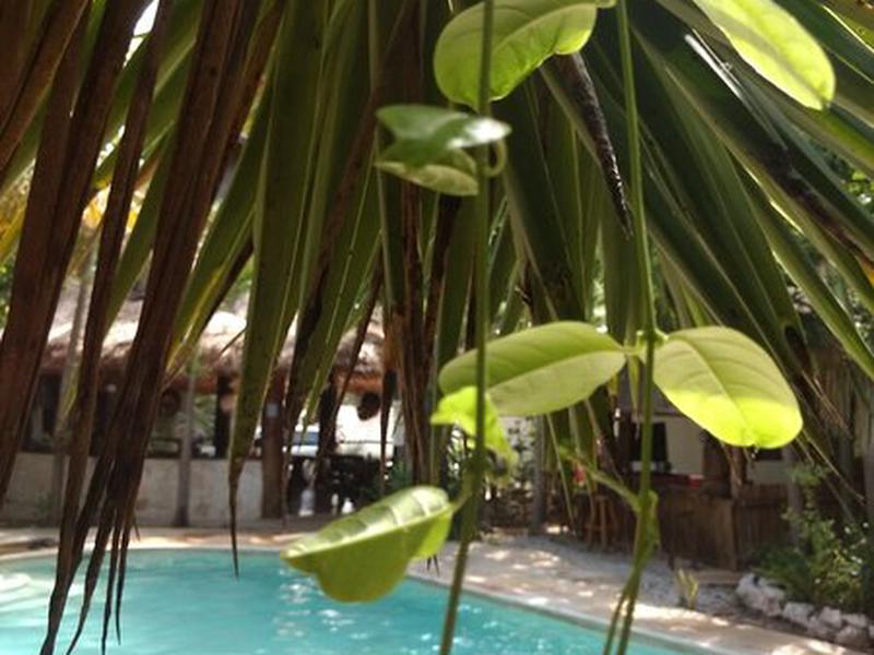 88D0E170CDB591D0E96983BBBEDF3376