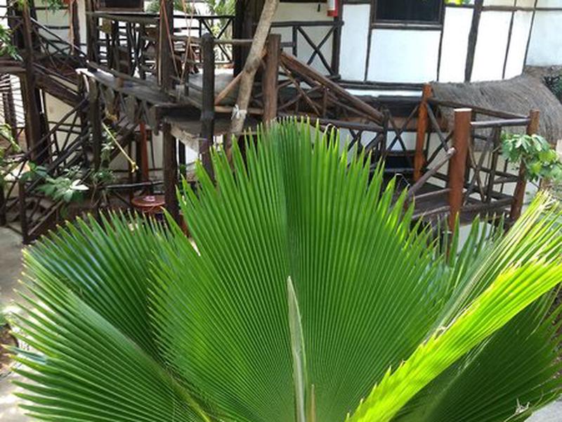 EF3F8EB7170EEFFABC5E71CA5D142D6E