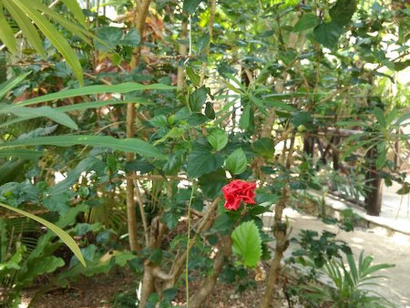 56A9DB3DD0193E71D35C9C2F7863F7BC