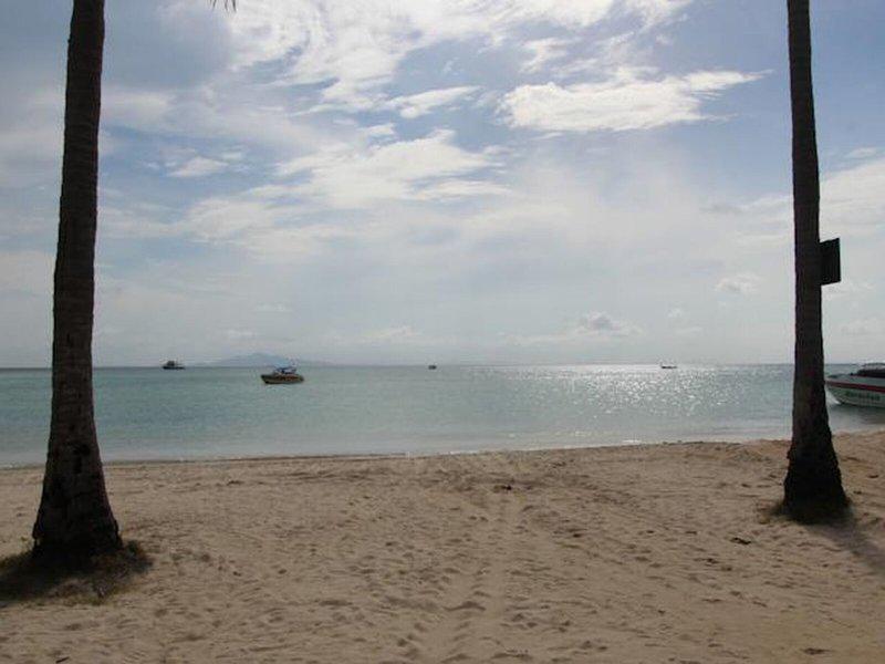 CCA385E84A7C7ADDF7D45C1DA1E3327A