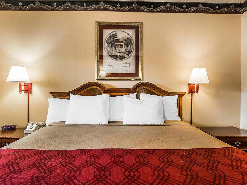 D8054E23E6F558A02DE6A66DF2198036