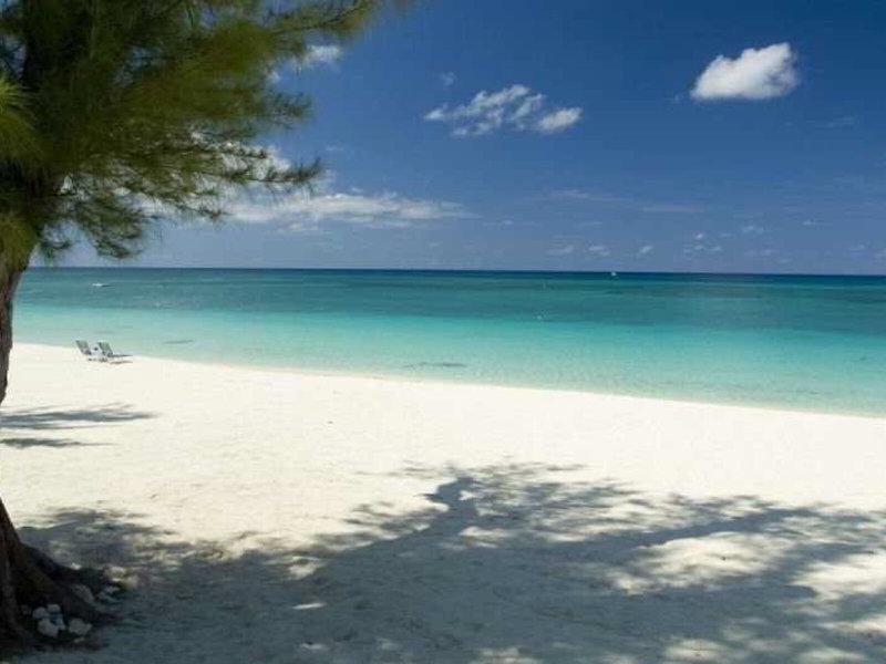 E25C0A3F44CD2114A62665102CC73946