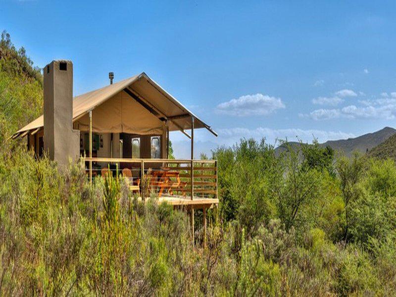 102C26418D67FCDC743200FFE97A93FD