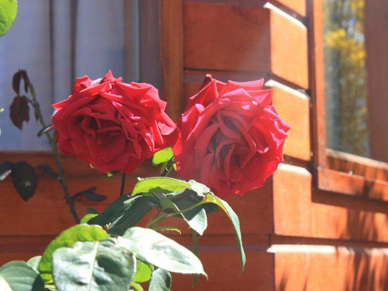 A884175E3E014BA6405E67BCDFD81F38