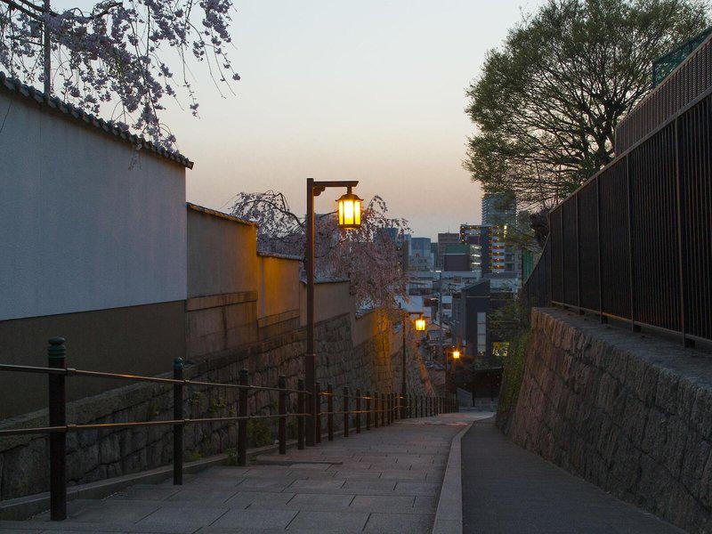 D23CE751DFBC50D986E20E51DCBCF957