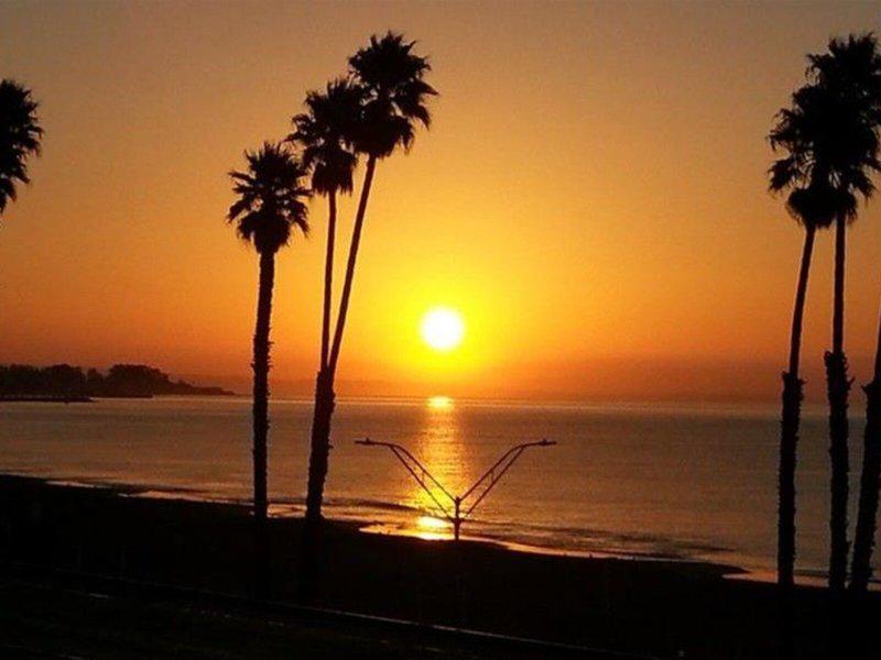 DE79FD98DCE895EB0AEDB7BBD3AB9FCF