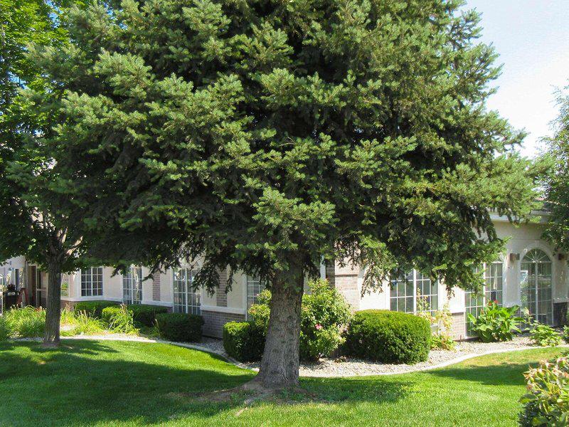 84CBB719AB35D9504765710B8A7A72AB