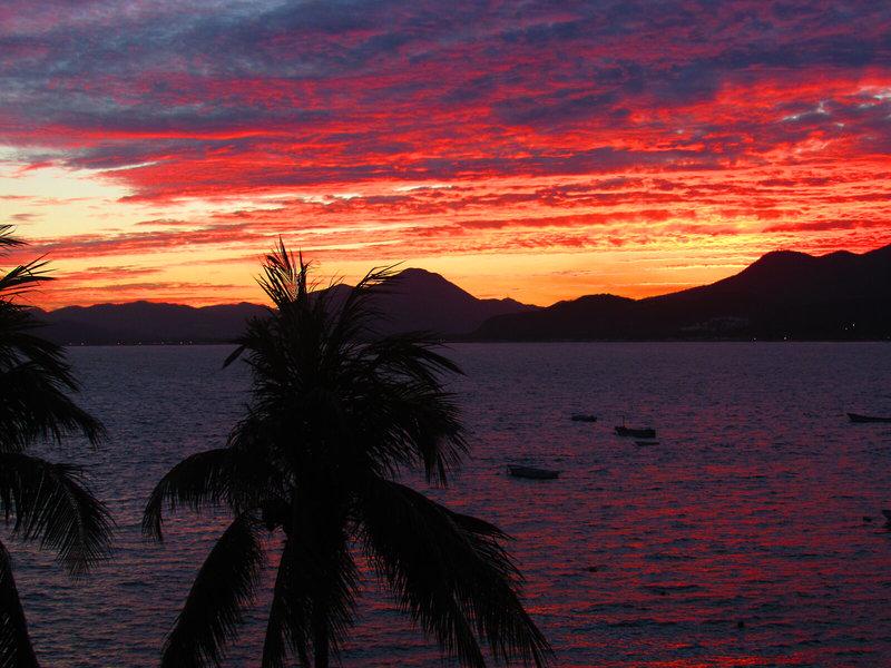 518610DB53CF27F2D6F505B2688766A0