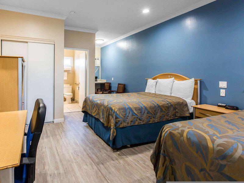 80FDA4B7BC8A67126D580726500A2A86