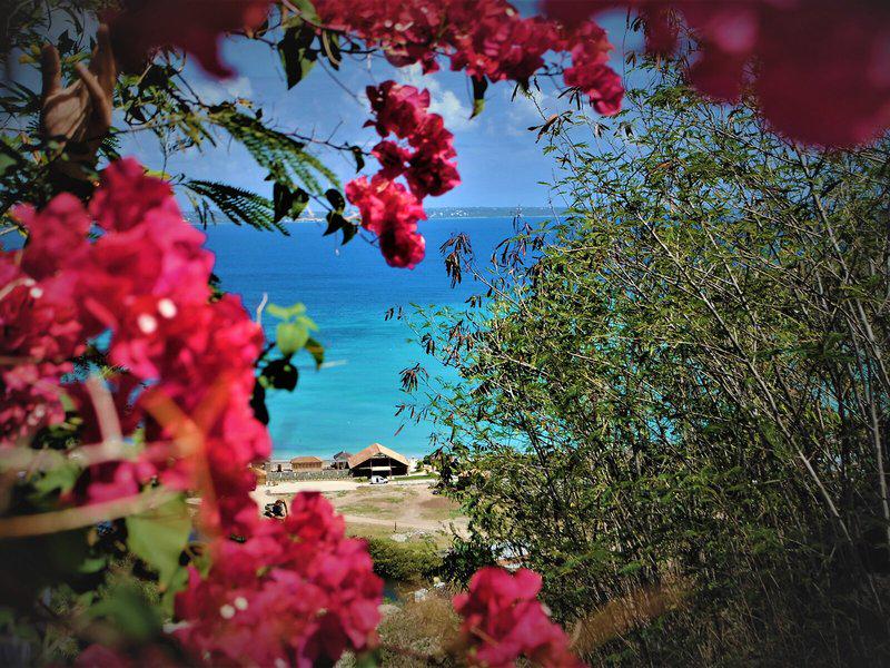 2F3D10F0521104D544AB6B51B566A857