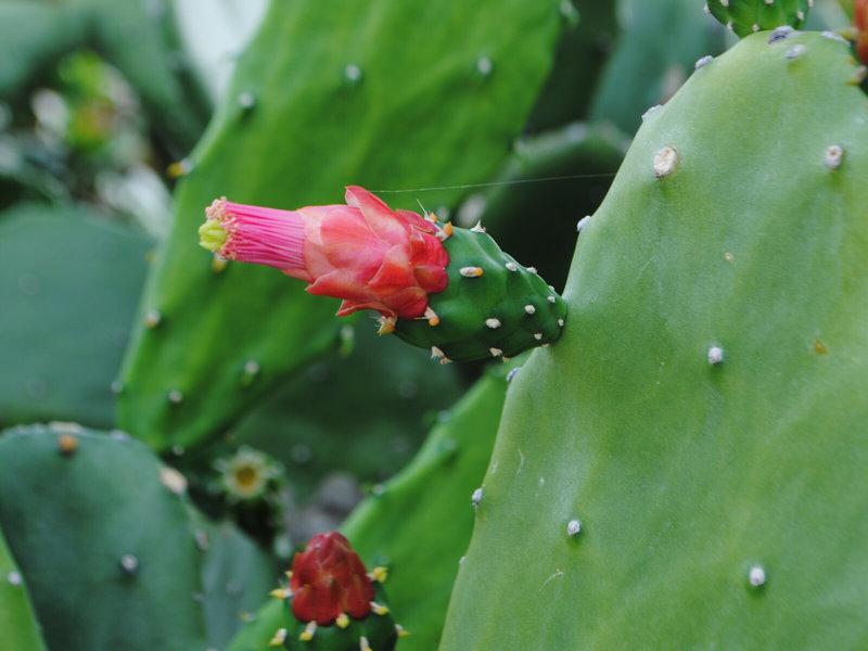 877969ABBC02D3D0AC619481A85763AA