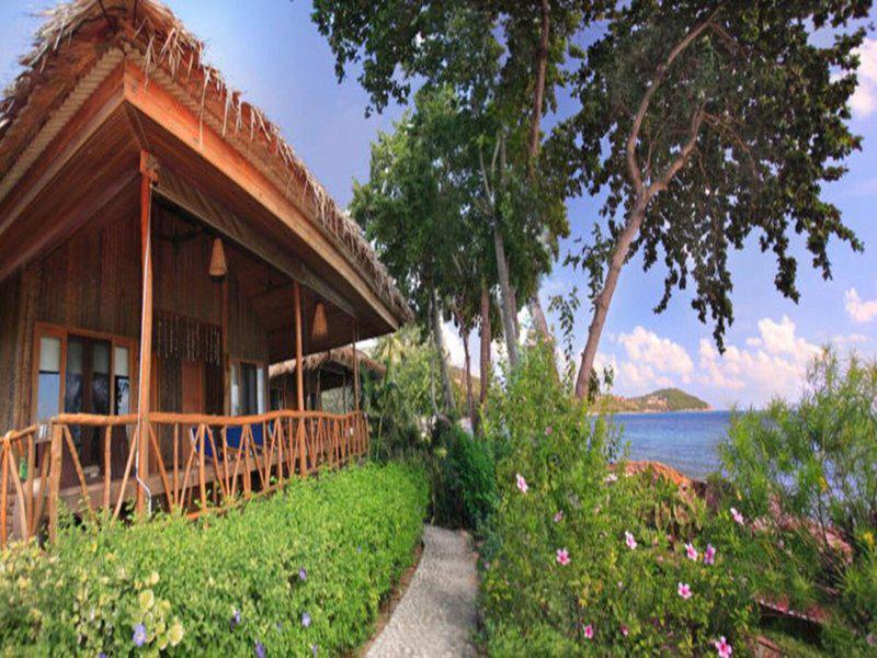 E0763ED9790D0372E8A36F544C04891C