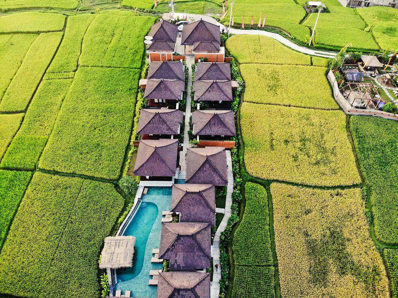 9C097F29C9F83C63AD3143B60C5540C1