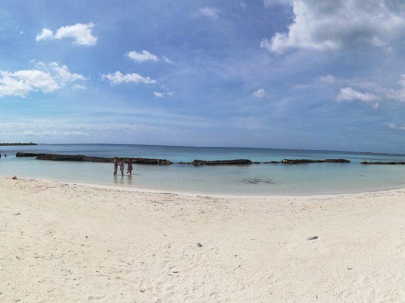 2490E332121EB0505328CADA2AD3A996