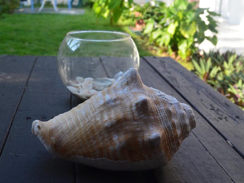 93618EB3D7C5494D14B4AEFBEB3993EE