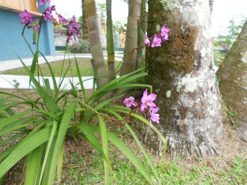 E9028F01EB81557BCAC549A1A1AF0955