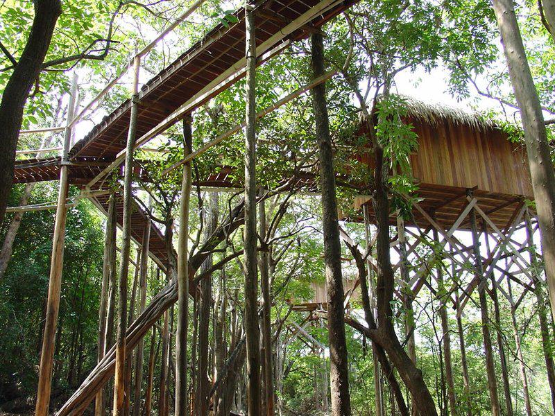 55F115903C1174E1F5C8C6827A541D55