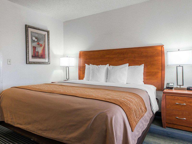 30F5EBBFB44FD2287CEBDFA128CDE3F9