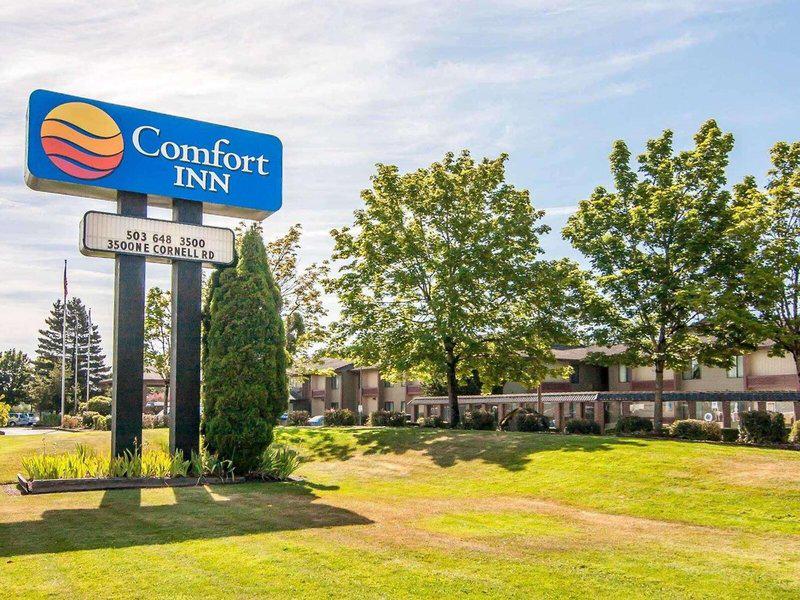 D295FBC58537938287802E1BB4308528