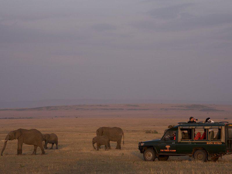 4EFD56C6983B7CC579DE42A16F232279