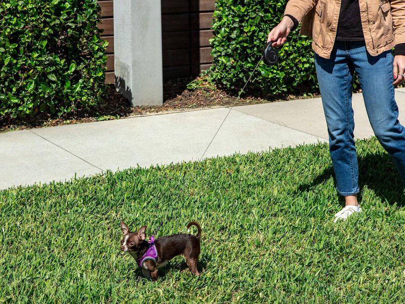 7678E921099926C4C5FA55D177AD8F3F