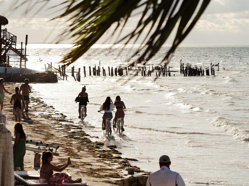 208E77FA19630E127EC59283F7161320