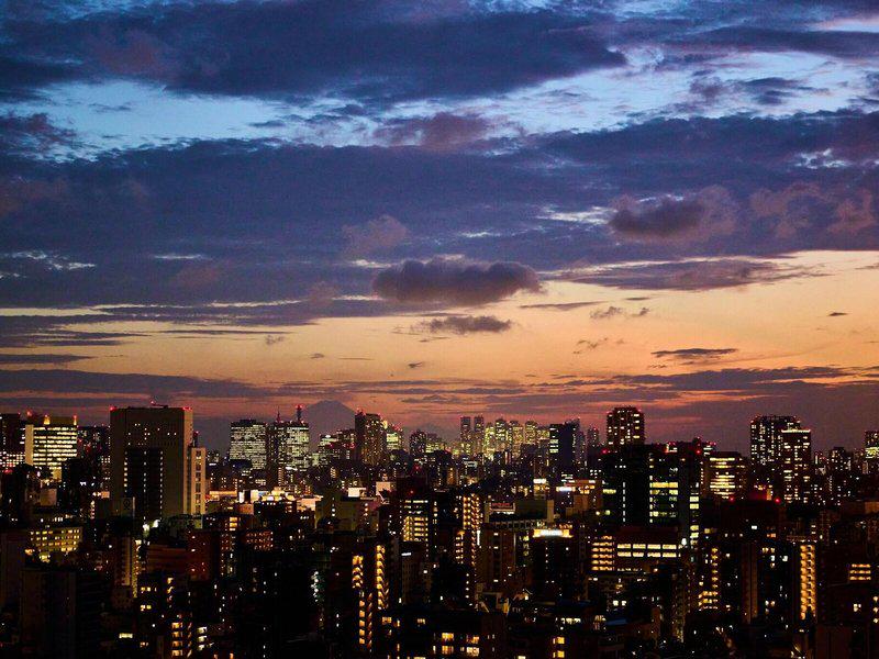 A0A3F995A174CFDED6679A6393927523