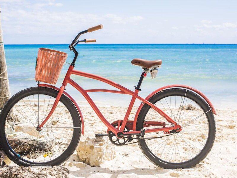 EEB2FE358829E4A92D81C83CB895FAA0