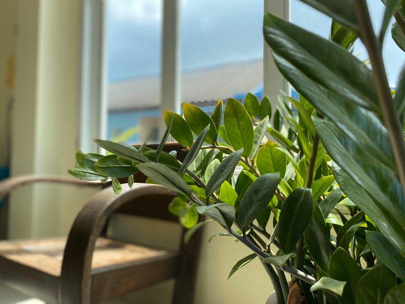 BE55240BD87554199B33C7D97777643B